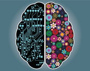 Cerveau Droit VS cerveau Gauche - Corps et Santé