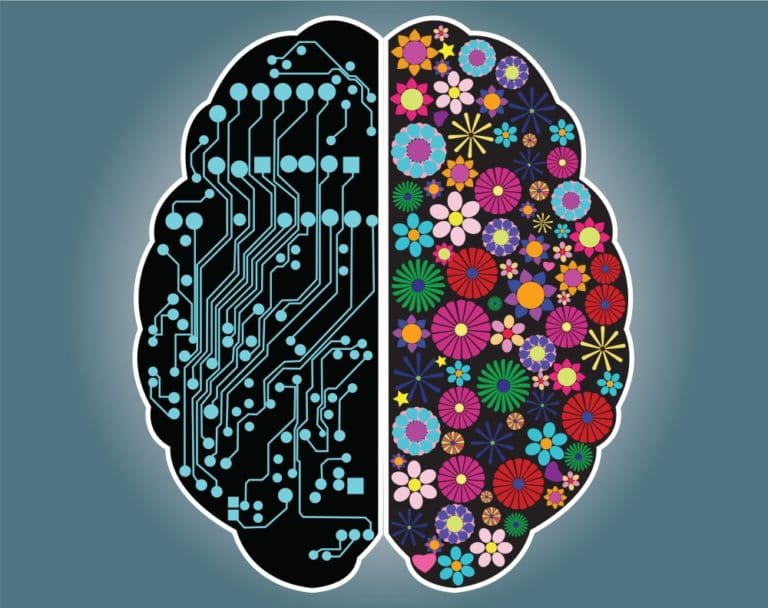 Cerveau Droit VS cerveau Gauche - Corps et Santé