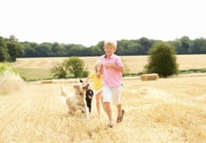 Animaux de compagnie et enfant - Corps et Santé