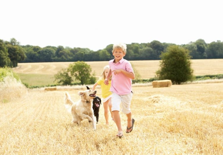 Animaux de compagnie et enfant - Corps et Santé