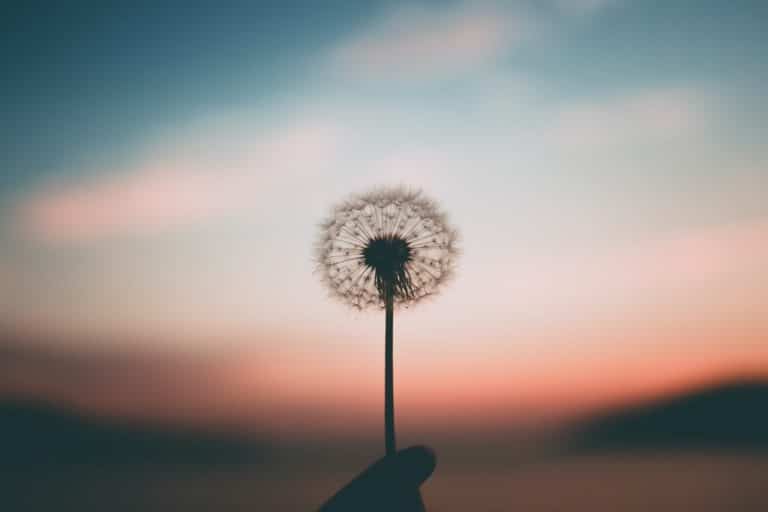 Maladies auto-immunes : l’alimentation pour vivre mieux