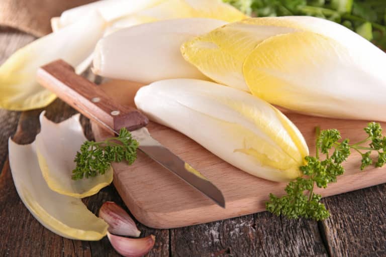L’endive, un légume à redécouvrir, riche en nombreux bienfaits !