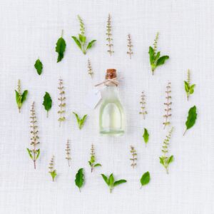 Huile essentielle de cyprès : quelle utilisation ?