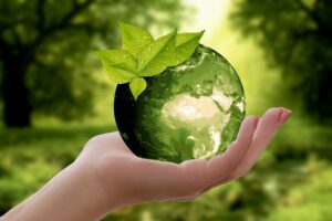 Écologie : quels emballages choisir ?