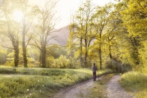 La marche consciente : définition et méthode